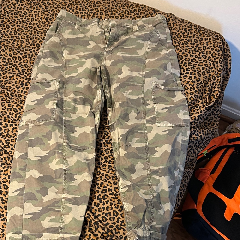 American Eagle Outfitters Green Camouflage Cargo Pants